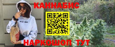 стаф Кингисепп