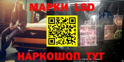 стаф Кингисепп