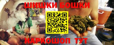 индика Кинель