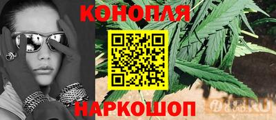 стаф Кингисепп