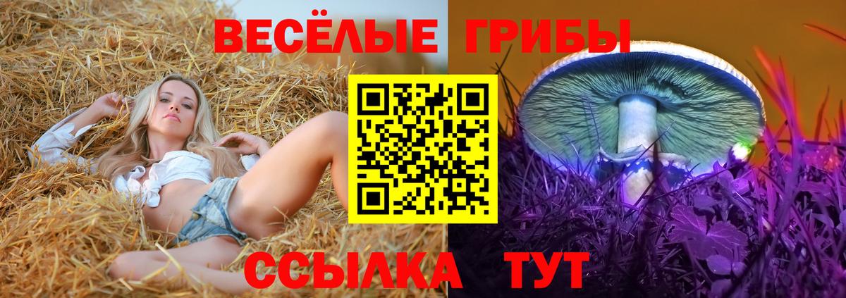Галлюциногенные грибы мухоморы  Галлюциногенные грибы ЛСД  Коркино  Вход с VPN 